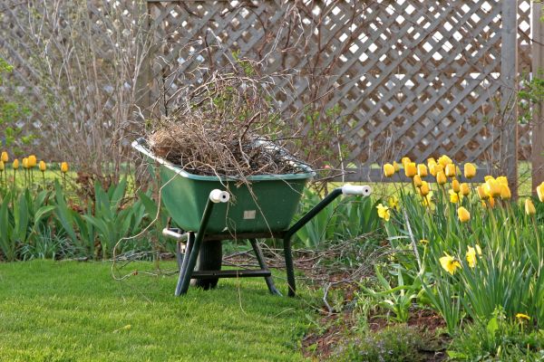 Flower Bed Cleanup Service in Ponte Vedra Beach