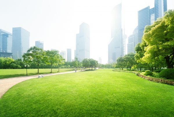 Commercial Landscape Maintenance in Ponte Vedra Beach