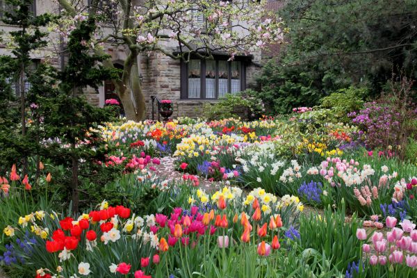 Garden Maintenance Service in Ponte Vedra Beach