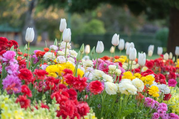 Gardening Service in Ponte Vedra Beach