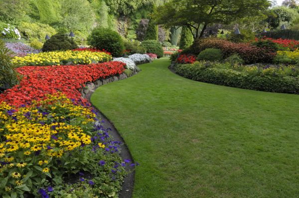 Landscaping Maintenance in Ponte Vedra Beach