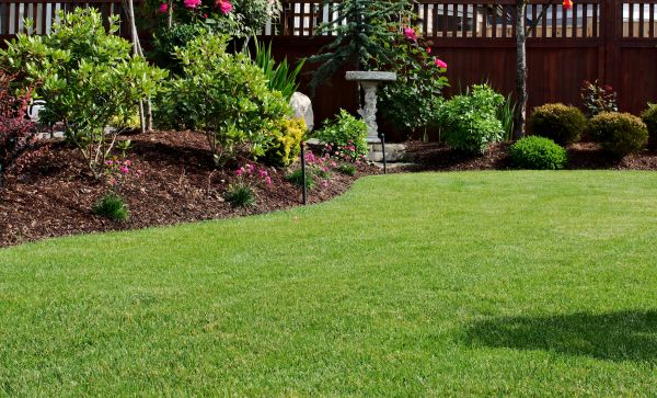 Green Landscaping