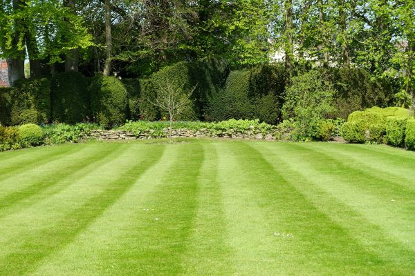Lawn Renovation in Ponte Vedra Beach