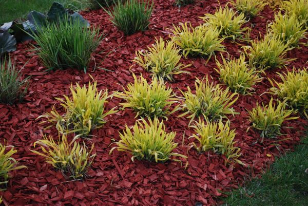 Mulch Landscaping in Ponte Vedra Beach