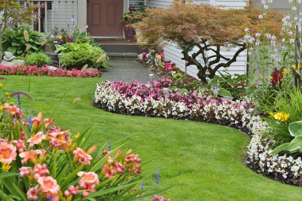 Perennial Landscaping in Ponte Vedra Beach