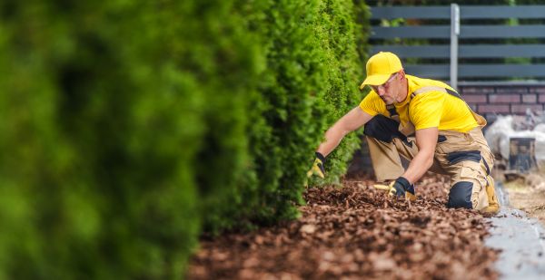 Cypress Mulch Installation in Ponte Vedra Beach