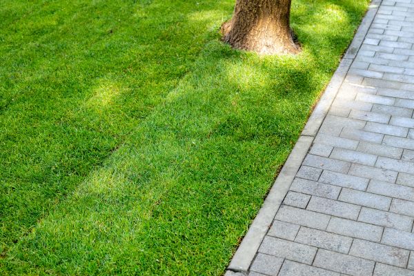 Border Stone Installation in Ponte Vedra Beach