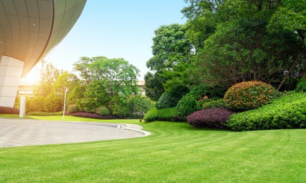 Business Landscape Design in Ponte Vedra Beach