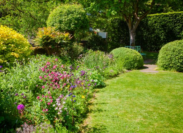 Yard Landscaping Service in Ponte Vedra Beach