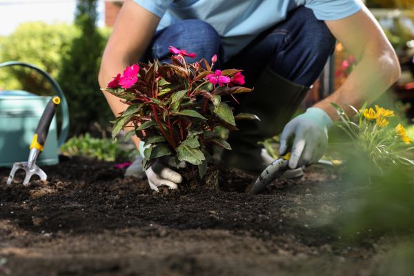 Plant Installation in Ponte Vedra Beach