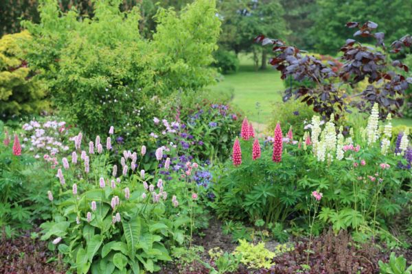Flower Bed Planting in Ponte Vedra Beach