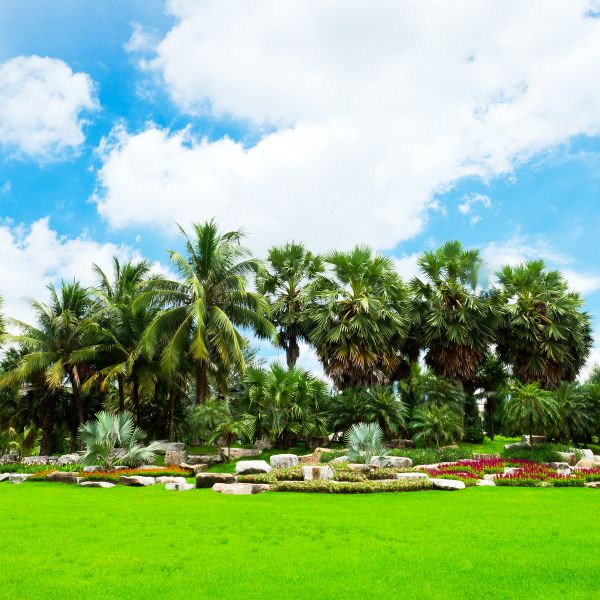 Tropical Landscaping in Ponte Vedra Beach