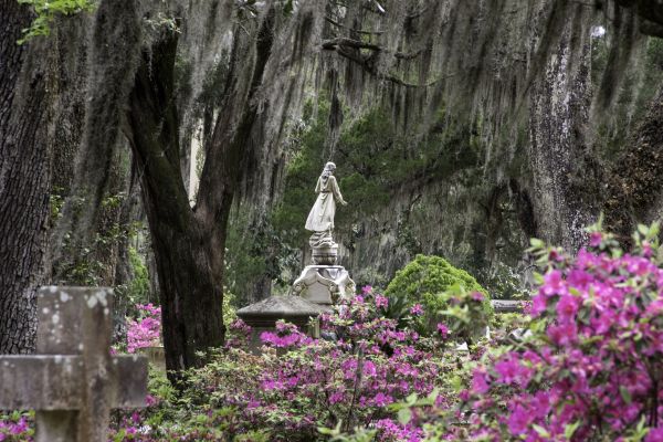 Cemetery Landscaping in Ponte Vedra Beach