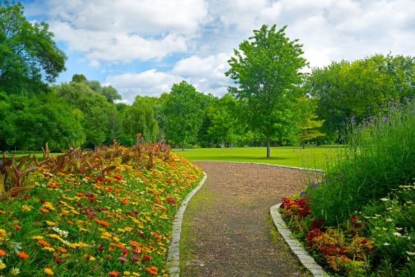 Park Landscaping in Ponte Vedra Beach