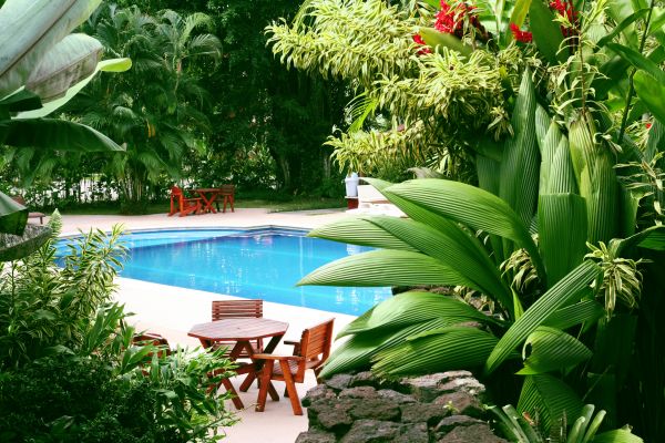 Tropical Garden Landscaping in Ponte Vedra Beach