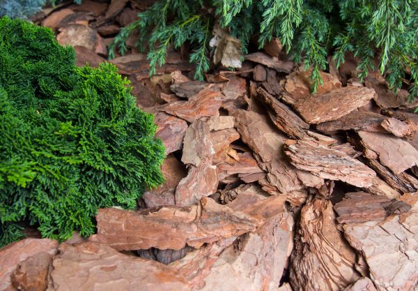 Pine Bark Installation in Ponte Vedra Beach