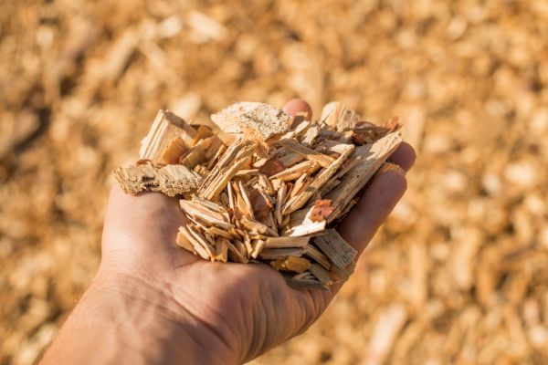 Wood Chips Spreading in Ponte Vedra Beach