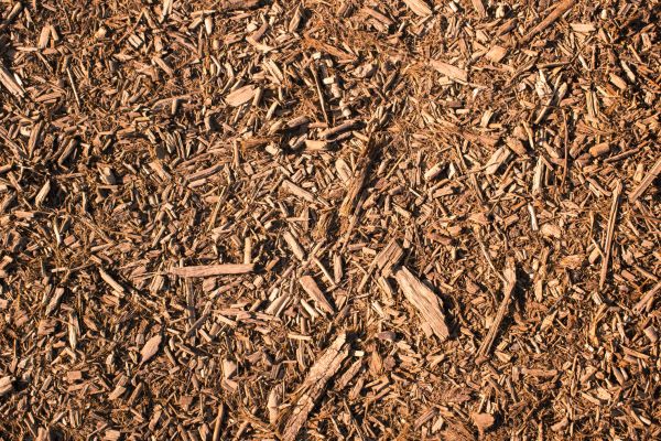 Wood Chips Removal in Ponte Vedra Beach