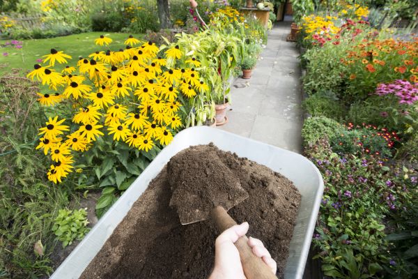 Topsoil Replacement in Ponte Vedra Beach