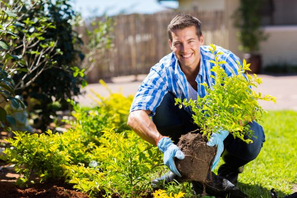 Shrub Landscaping in Ponte Vedra Beach
