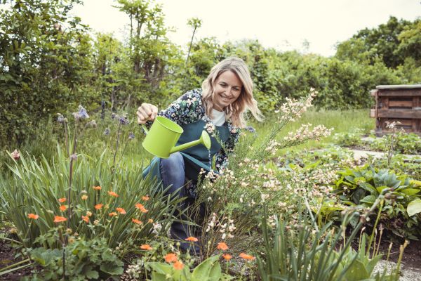 Monthly Garden Care