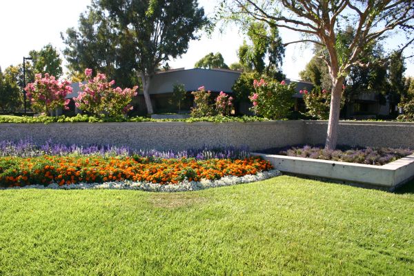 Commercial Landscape Service in Ponte Vedra Beach