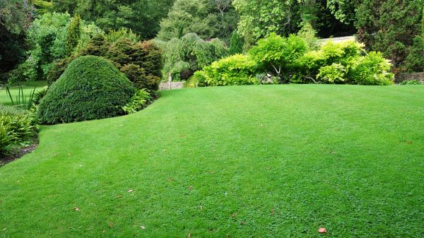Commercial Landscape Design in Ponte Vedra Beach
