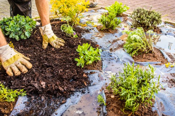 Mulch Fabric Installation in Ponte Vedra Beach
