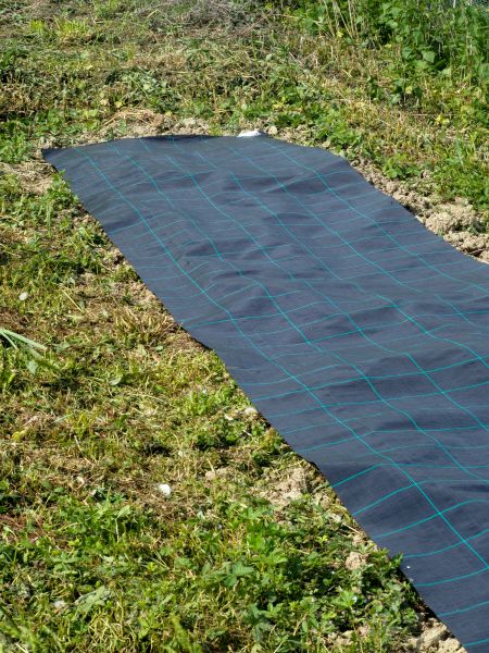 Weed Suppressant Installation in Ponte Vedra Beach