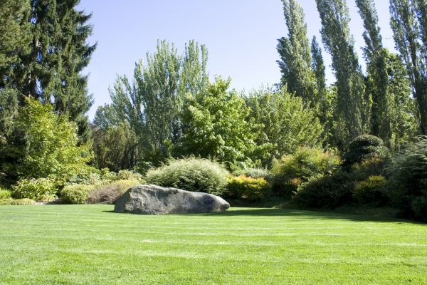 Yard Enlargement in Ponte Vedra Beach