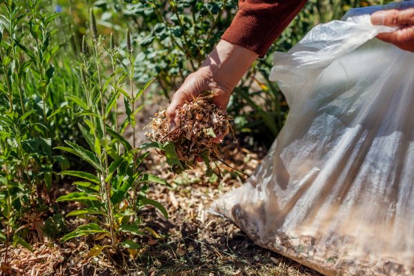 Wood Mulch Installation in Ponte Vedra Beach