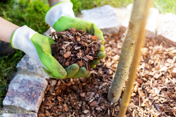 Tree Bark Delivery in Ponte Vedra Beach