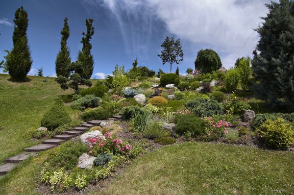 Steep Terrain Landscaping in Ponte Vedra Beach