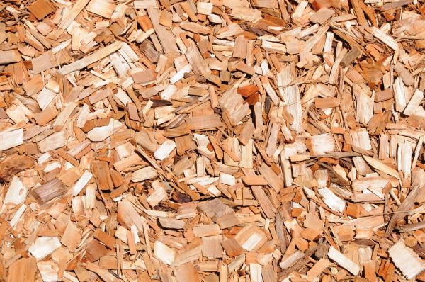 Cypress Mulch Spreading in Ponte Vedra Beach