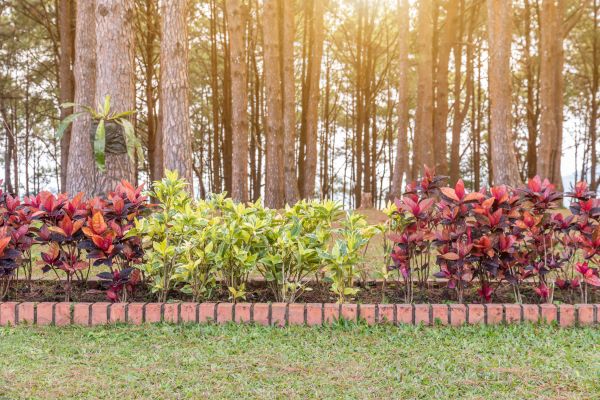 Small Garden Landscaping in Ponte Vedra Beach