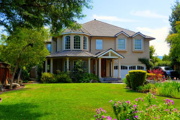 Large Yard Landscaping in Ponte Vedra Beach
