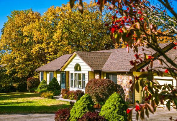 Ranch Landscaping in Ponte Vedra Beach