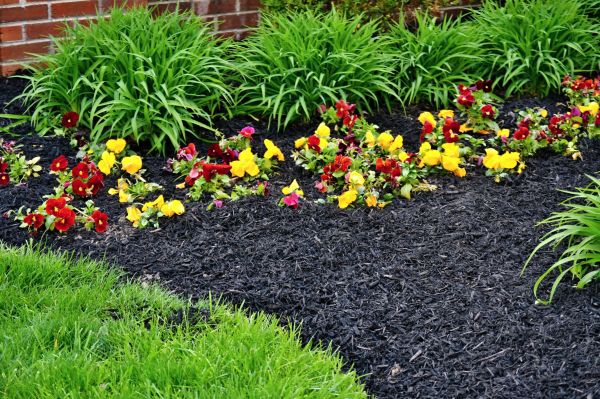 Apartment Mulching in Ponte Vedra Beach