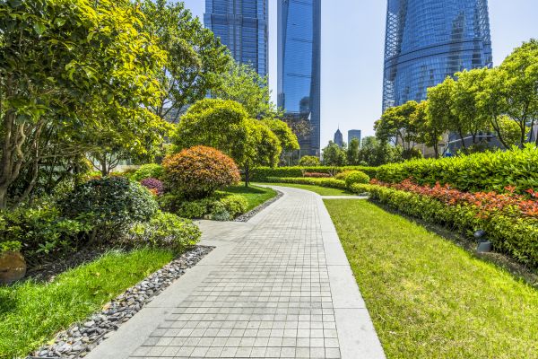 Commercial Landscaping in Ponte Vedra Beach