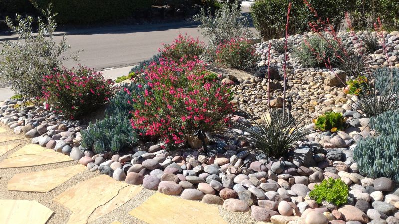 Drought Resistant Landscaping