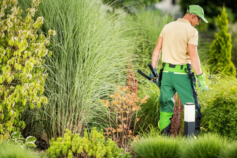 Lawn Repair Service detail